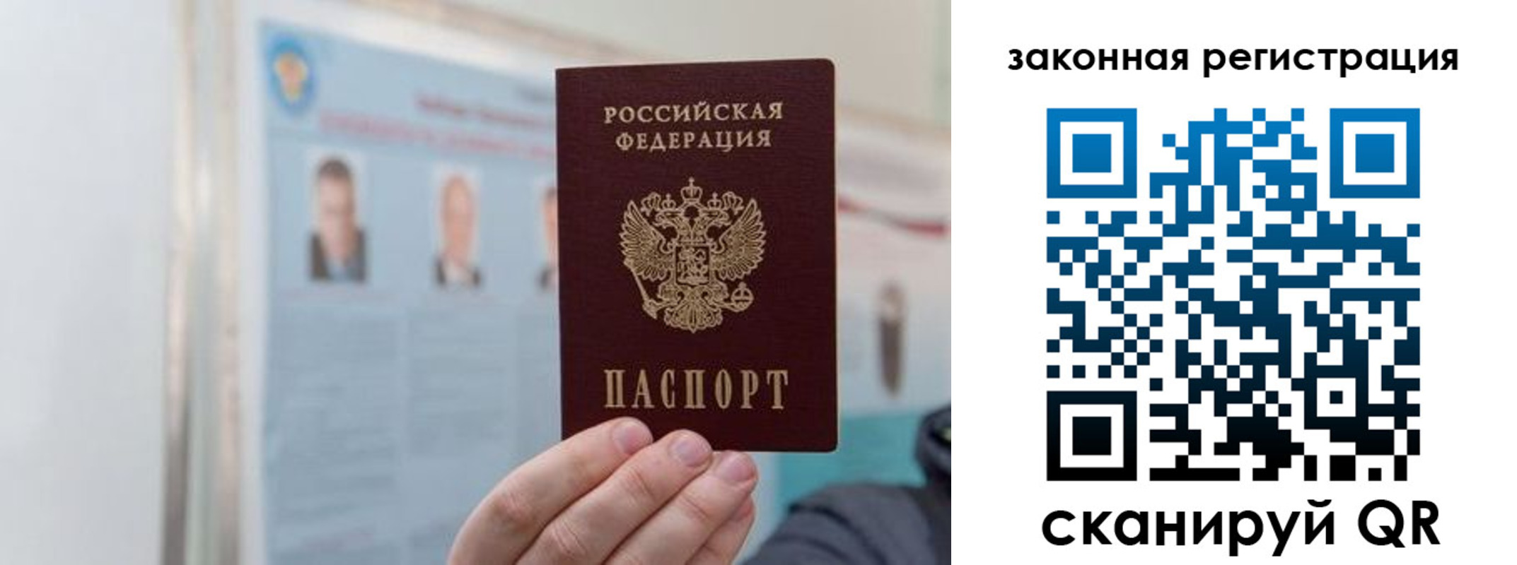 прописка законно в Сальске